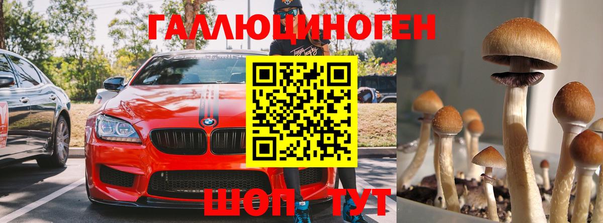 Галлюциногенные грибы Magic Shrooms  Вход с VPN  Новочеркасск 